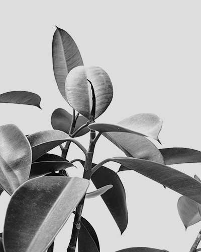 ACCUEIL service1.jpg