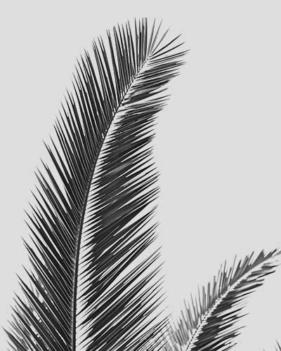 ACCUEIL service2.jpg